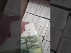 Γινσένγκ Κιάνπι Πίλη